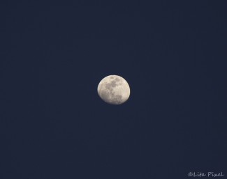 Moon up close